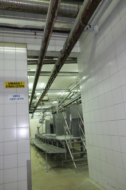 Meat processing machines-7